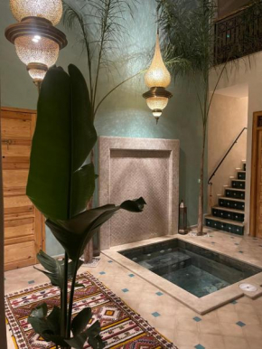 Riad212 private medina fast Wi-Fi plunge pool